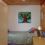 In The Woods House For 8 Persons And Large Garden Chalé