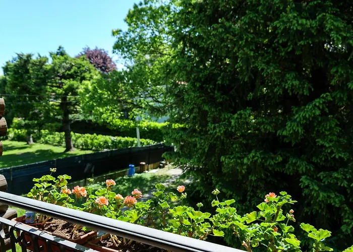 シャレー In The Woods House For 8 Persons And Large Garden Nebbiuno